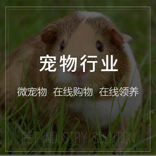 苏州外贸网站定制的多语言与跨境支付方案